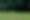 Enlarge the image